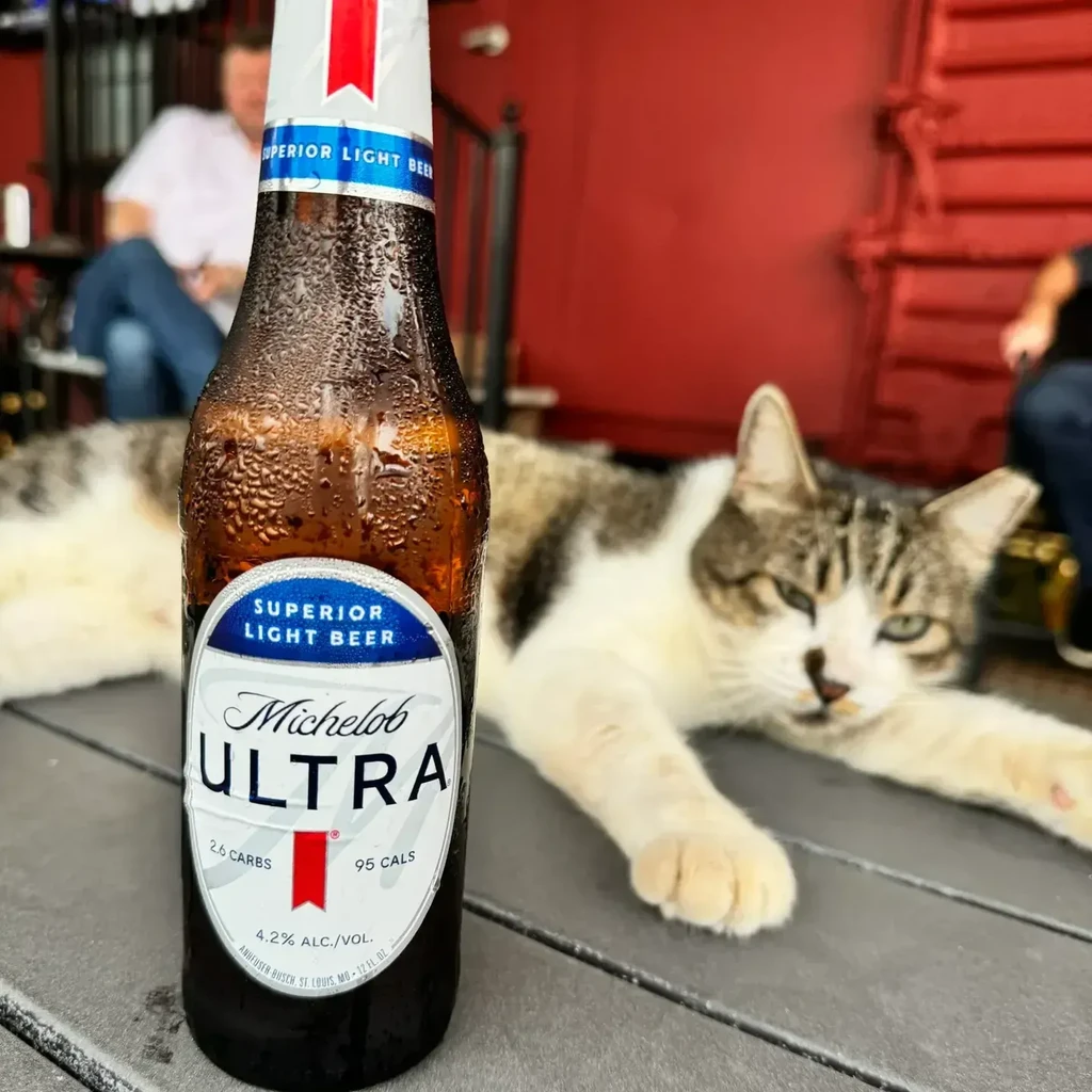 Condensation-covered Michelob Ultra bottle next to a relaxed tabby cat outdoors.