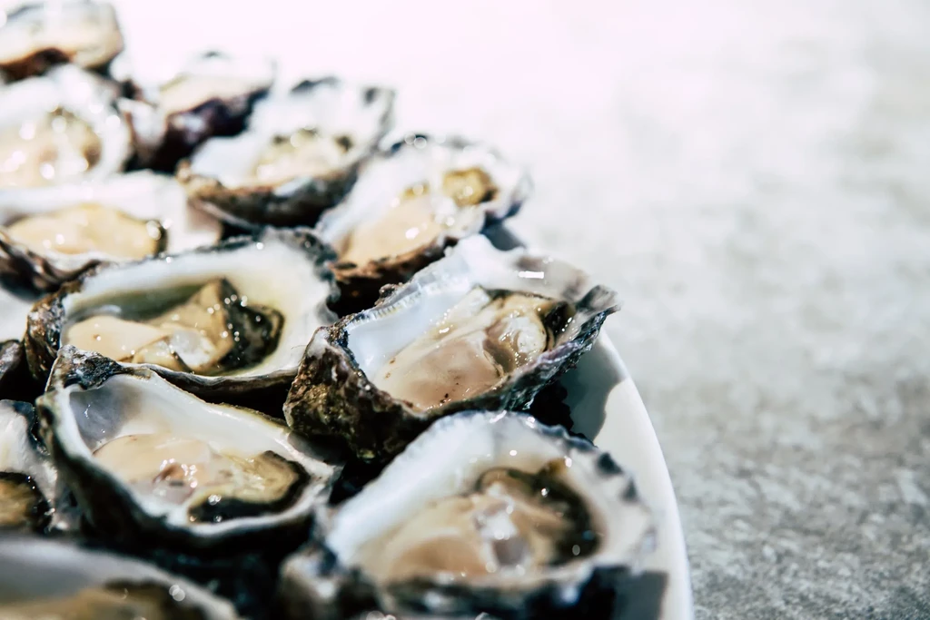 Freshly shucked, plump, glistening oysters on a white plate.