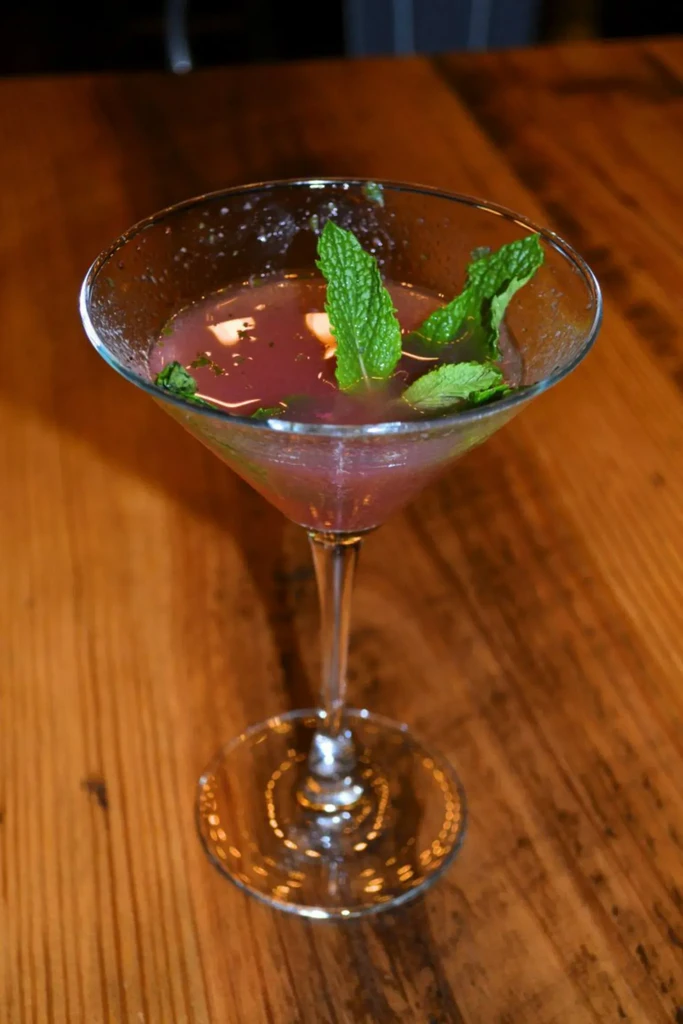 Cold purplish-red cocktail with mint leaves in a martini glass.