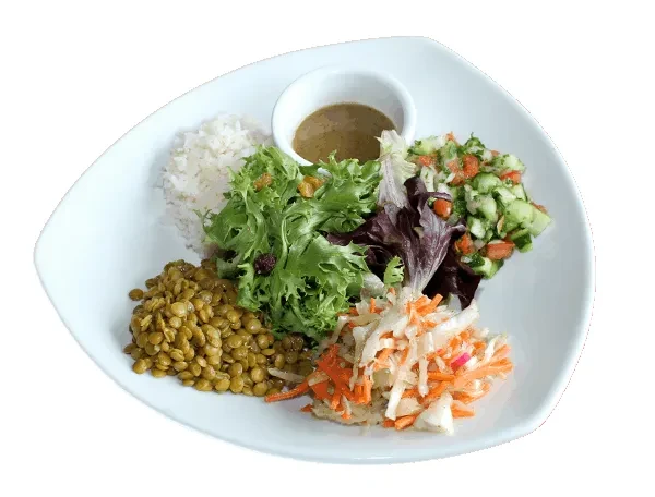 Well-plated meal of rice, lentils, various salads, and dressing.