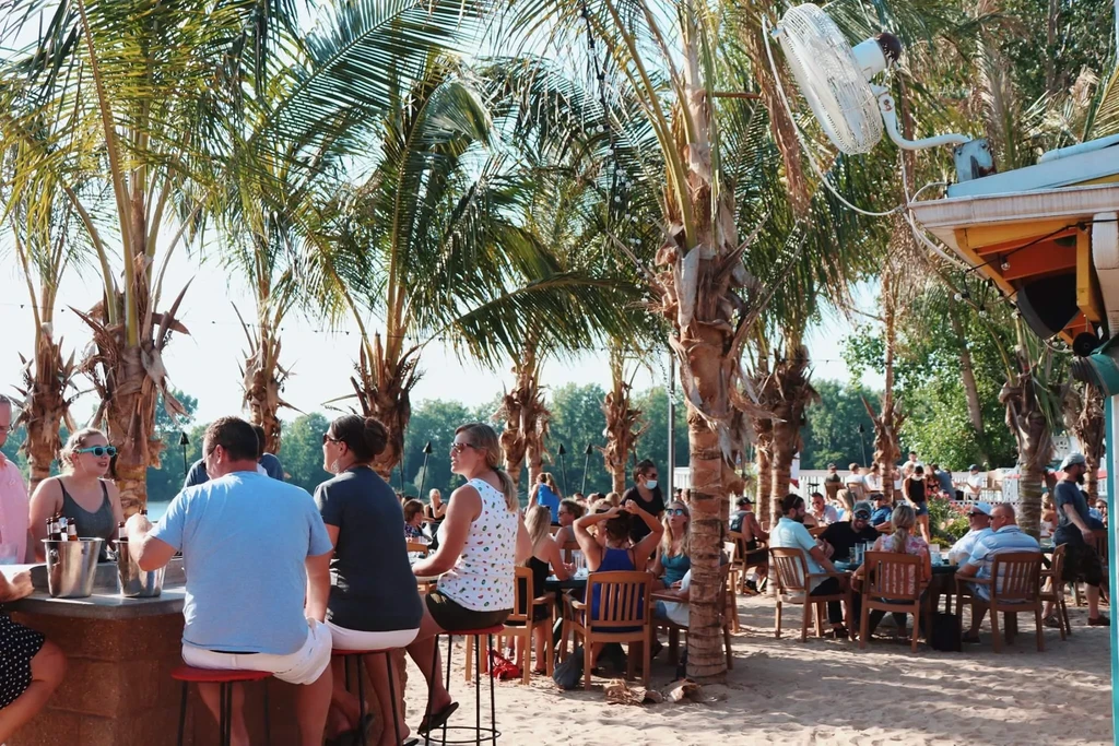 Outdoor tropical restaurant and bar with people and palm trees.