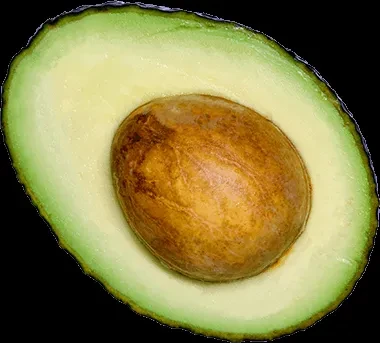 Avocado half cut lengthwise, revealing vibrant green flesh and large brown pit.