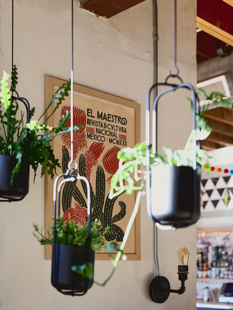 Restaurant interior with three hanging plants and vintage 'El Maestro' poster.