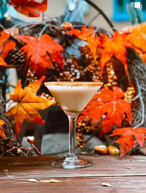 Creamy autumn cocktail in martini glass with cinnamon rim, fall decor.