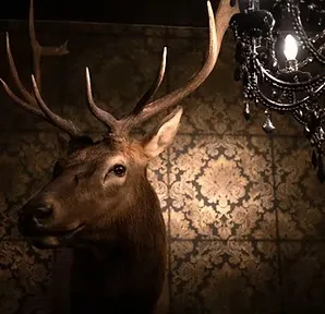 Taxidermied deer head with antlers against ornate wallpaper and chandelier.