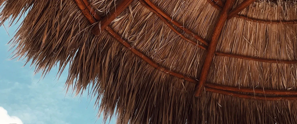Weathered brown thatched roof underside with wooden supports and blue sky.