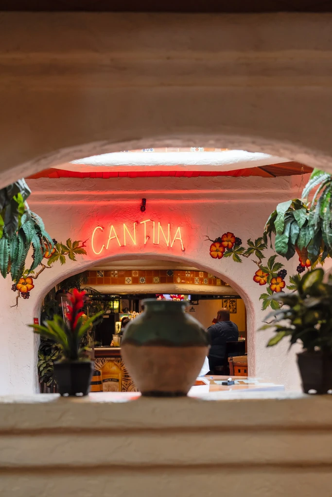 Red 'CANTINA' neon sign seen through a floral-decorated archway.