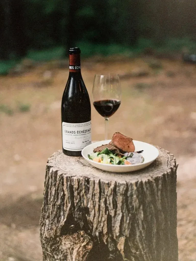Red wine, steak, and salad on rustic outdoor tree stump.