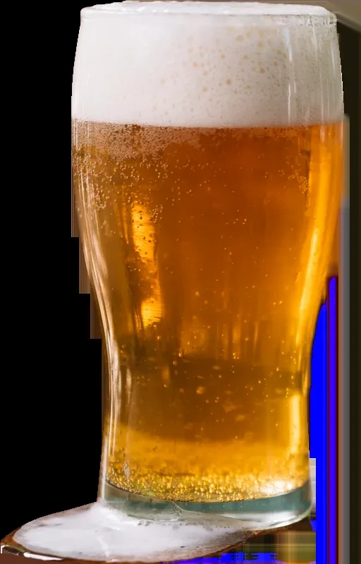 Pilsner glass of golden beer with a frothy head and rising bubbles.
