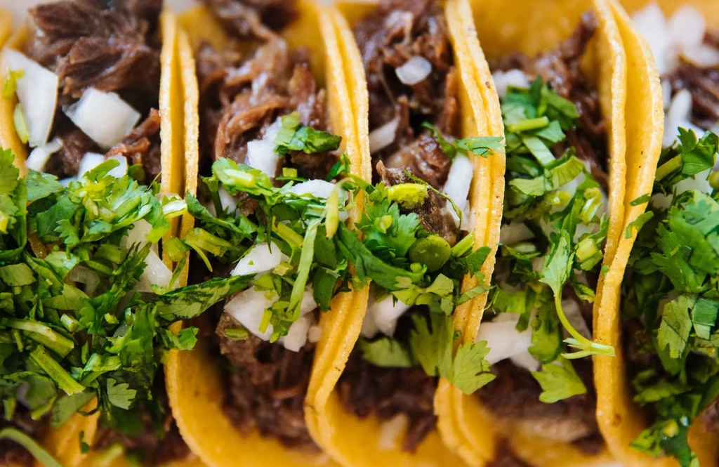 Close-up of corn tortilla tacos filled with meat, onions, and cilantro.