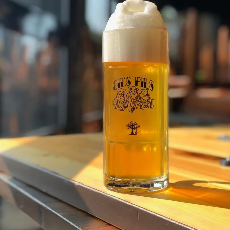 Golden lager with foamy head in a "GIL'S PILS" glass on wood.