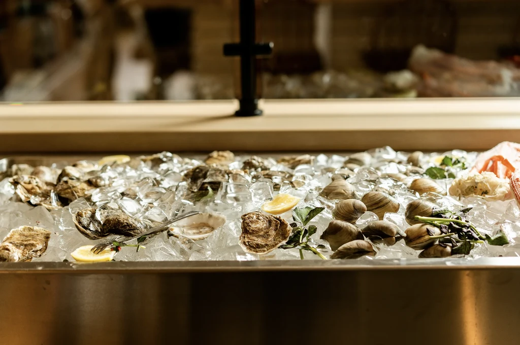 Fresh shucked oysters and clams on ice with lemon and herbs.
