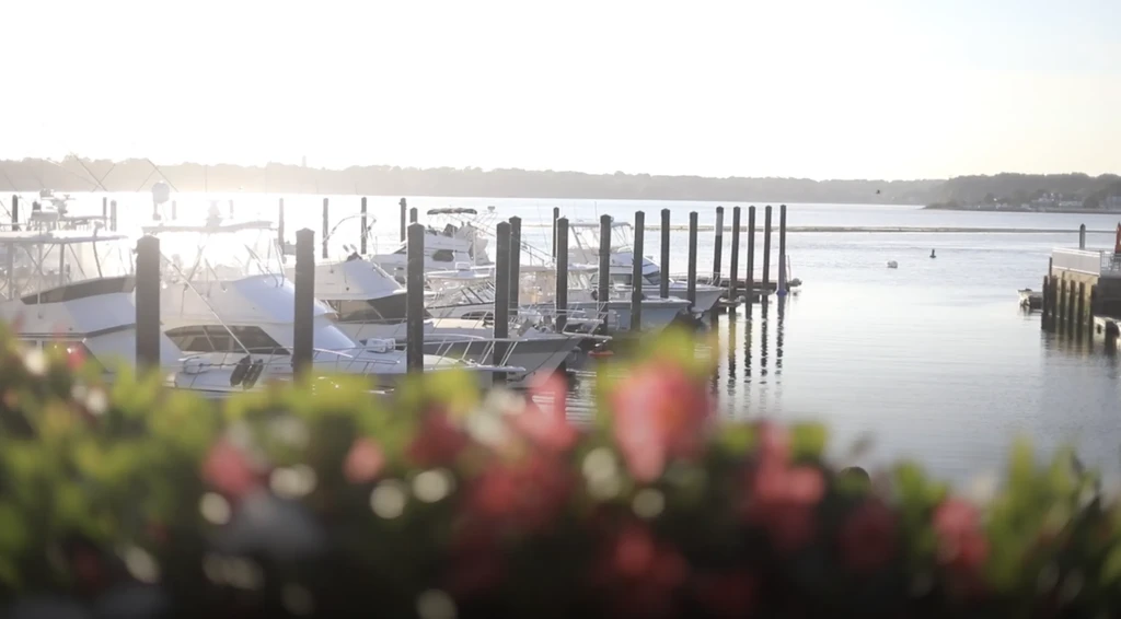 Docked white boats, calm reflections, bright sun flare, and foreground flowers.