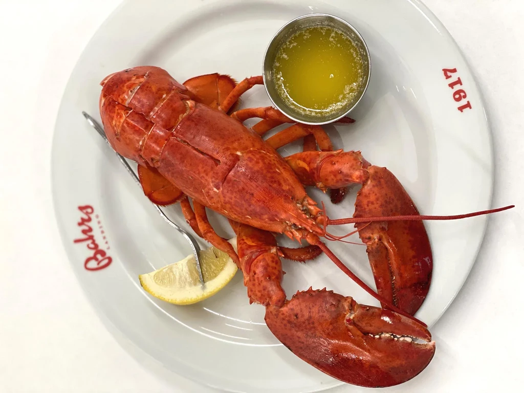Cooked red-orange lobster, melted butter, lemon, and fork on a branded plate.