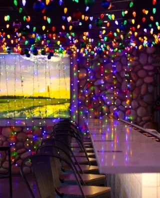 Colorful string lights illuminate a restaurant bar and a landscape screen.