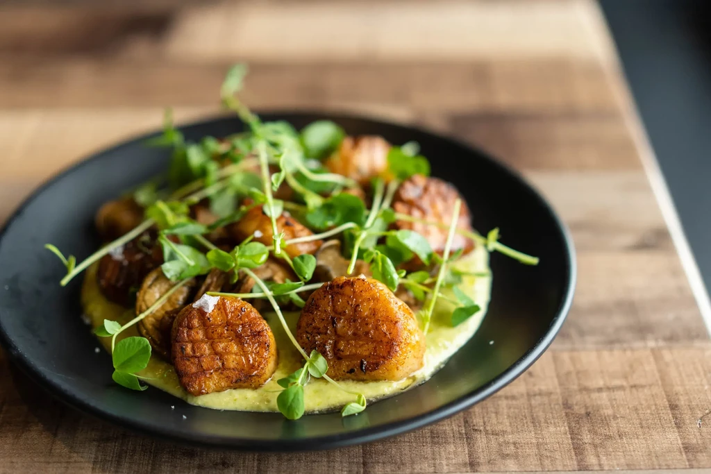 Golden-brown seared scallops, green puree, microgreens on a black plate.