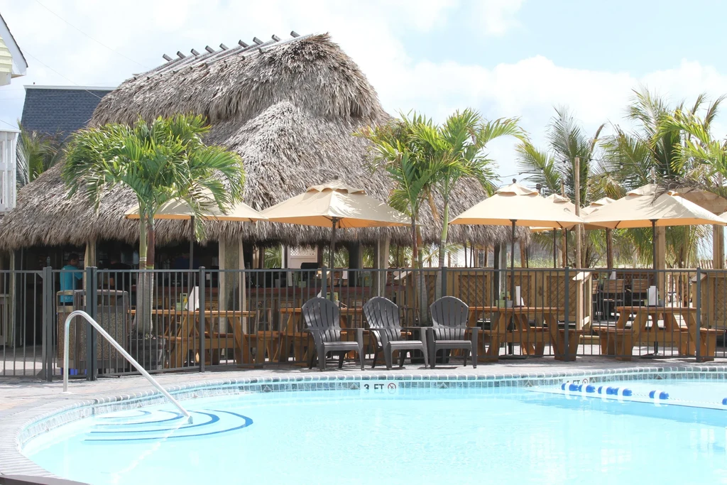 Tropical outdoor bar with thatched roof, pool, and shaded picnic tables.