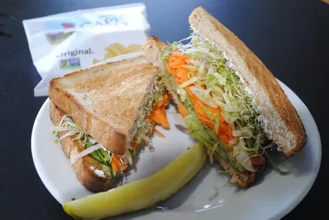 Toasted sandwich, fresh vegetables, pickle spear, on plate. Vegan bag.