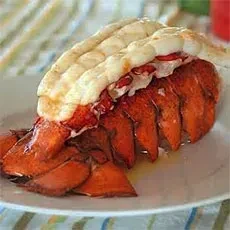 Close-up of a vibrant, juicy lobster roll on a simple white plate.