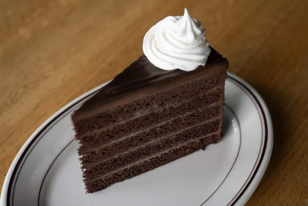 Layered chocolate cake slice with ganache and white whipped cream.