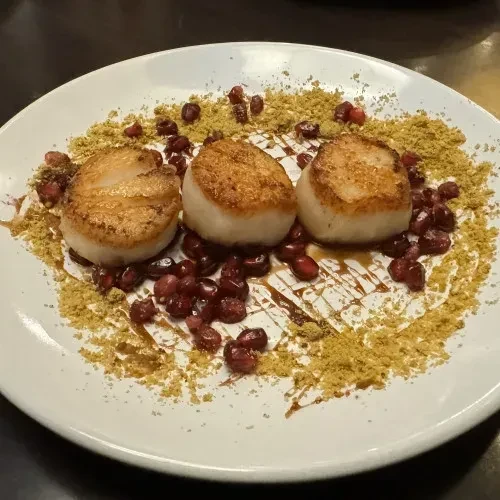 Three seared scallops with pomegranate, sauce, and powder on a white plate.