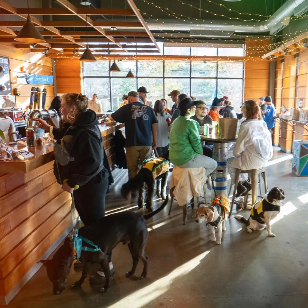 Lively pet-friendly brewery: people, dogs (some in costumes), woman serving.
