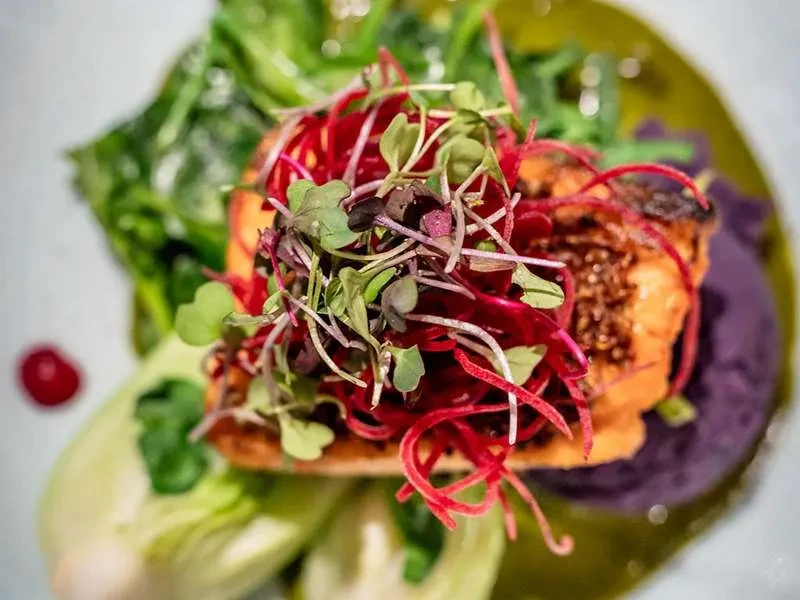 Seared salmon with red vegetables, microgreens, on purple potatoes, green garnish.