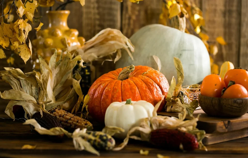 Rustic autumn still life with pumpkins, Indian corn, persimmons, and fall leaves.