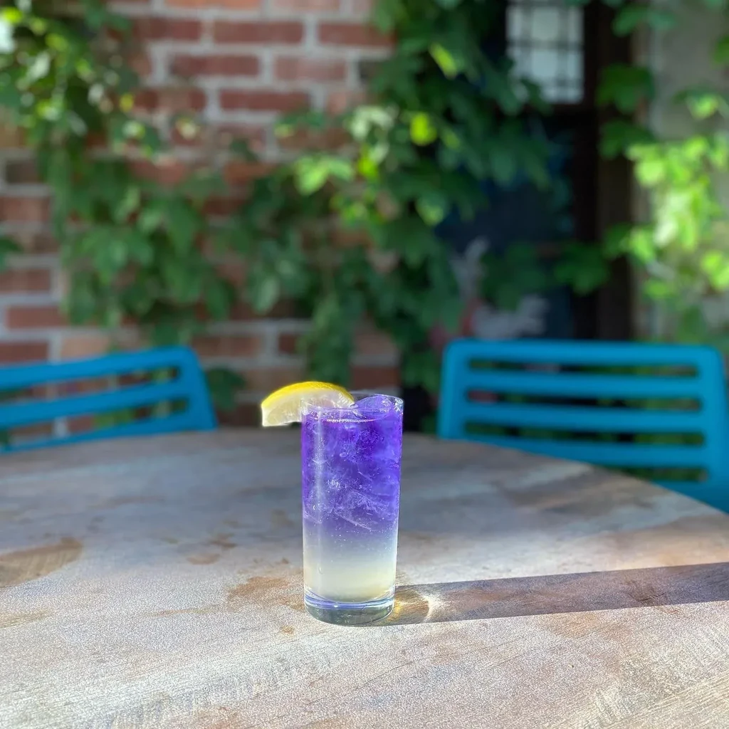 Vibrant two-toned drink with lemon on a sunny outdoor table.