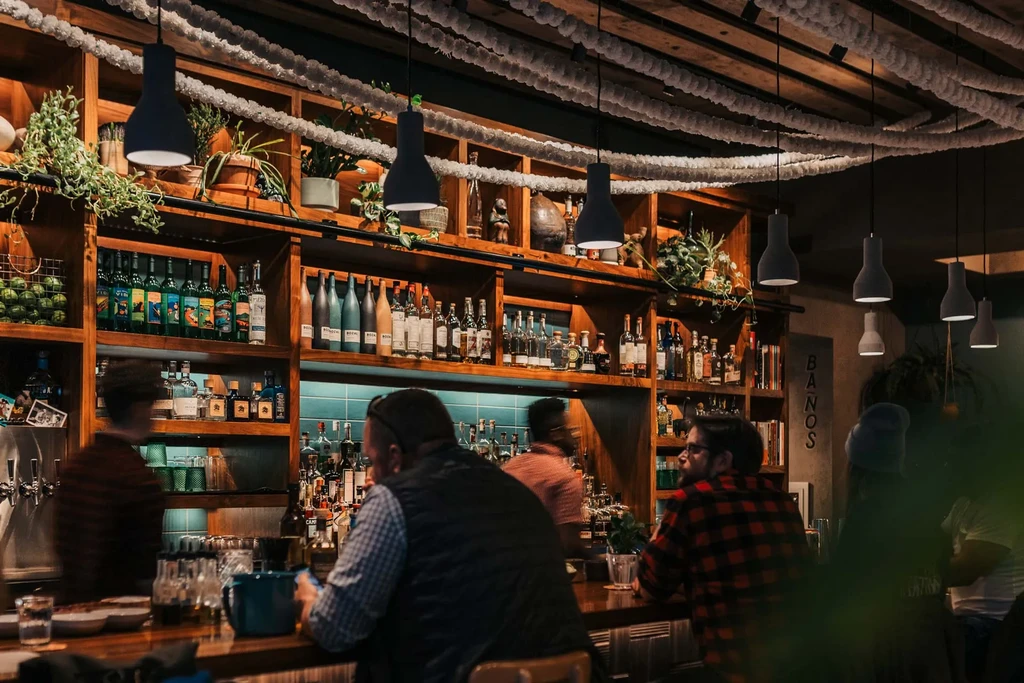 Well-stocked dark wood bar shelves with bottles, plants, and soft lighting.