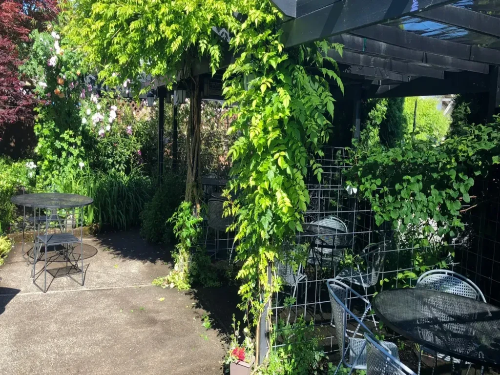 Garden patio with vine-draped pergola, metal tables, and lush plants.