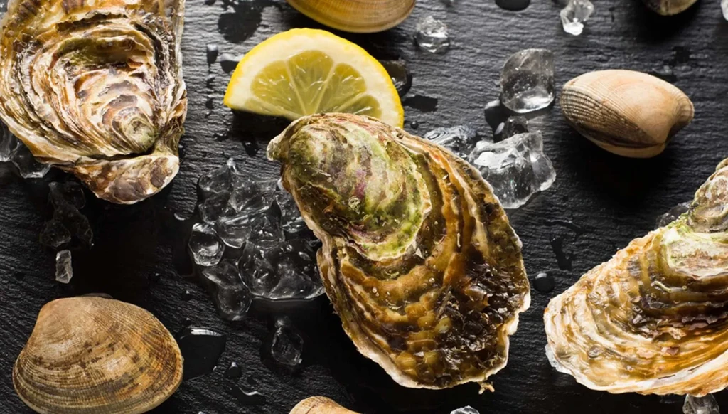 Fresh oysters and clams on ice with lemon on dark stone.