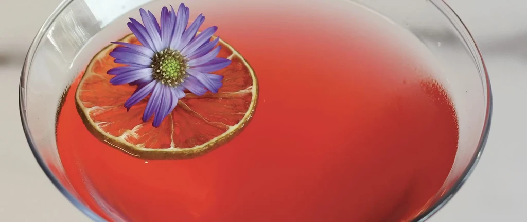 Close-up of a pink cocktail with a dried citrus slice and purple flower.