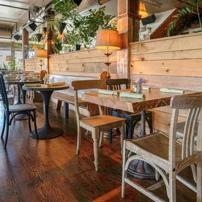 Empty rustic-chic restaurant interior with wooden tables and hanging plants.