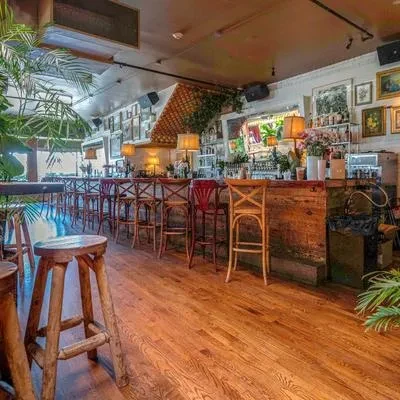 Warmly lit bar interior with wooden counter, stools, bottles, and plants.