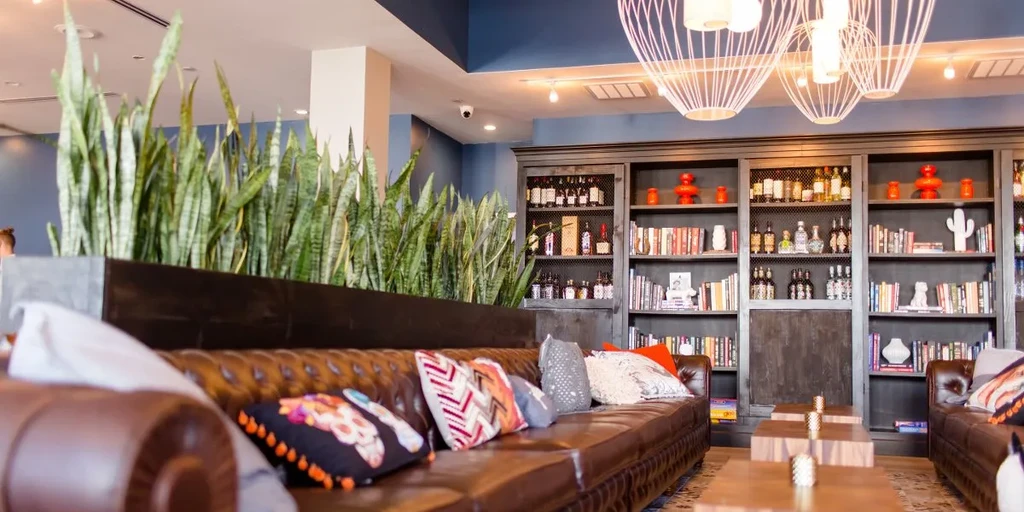 Library bar with brown leather sofa, snake plants, and liquor shelves.