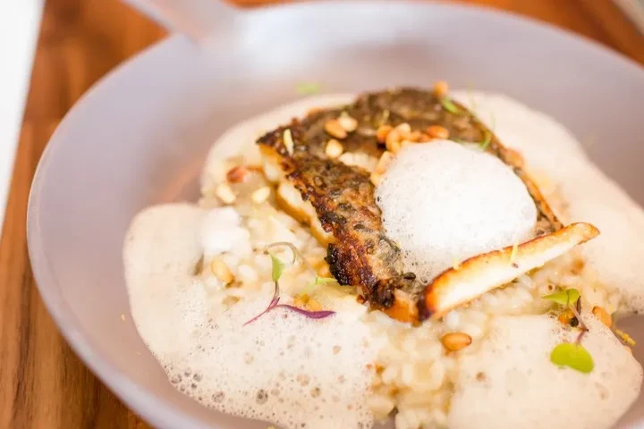 Close-up of plated fish on risotto with foam, nuts, and microgreen garnish.