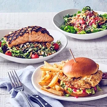 Three dishes on a table: chicken sandwich, salmon salad, green salad.