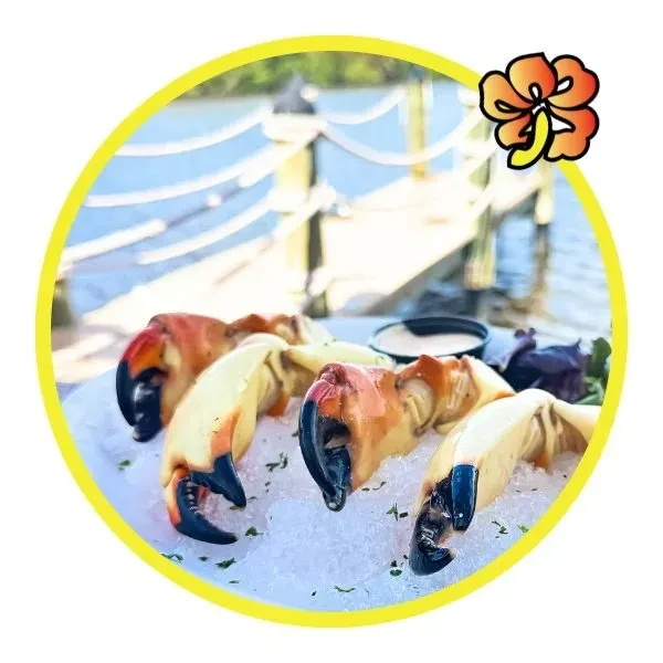 Five stone crab claws on ice with mustard sauce, waterside setting.