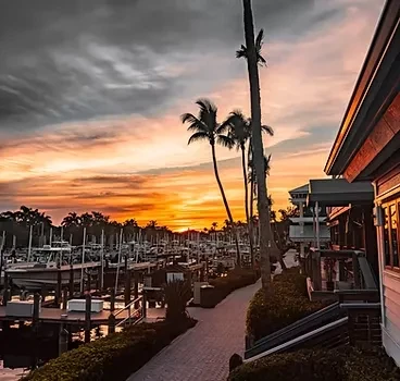 Elevated view of a vibrant marina sunset with boats and palm trees.
