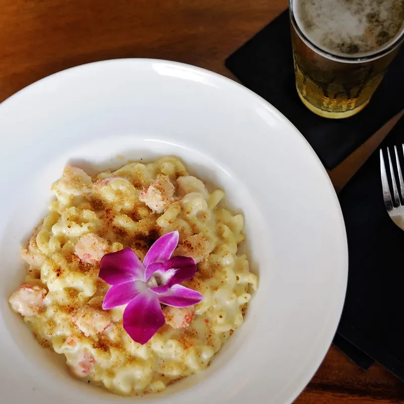 Creamy seafood pasta with a purple orchid, served with a beer.