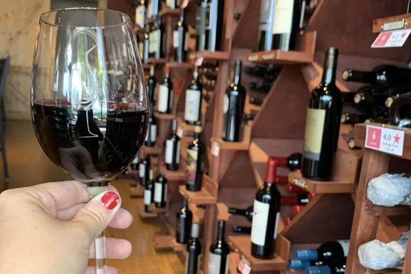 Hand with red nail polish holds red wine, blurred bottles in background.