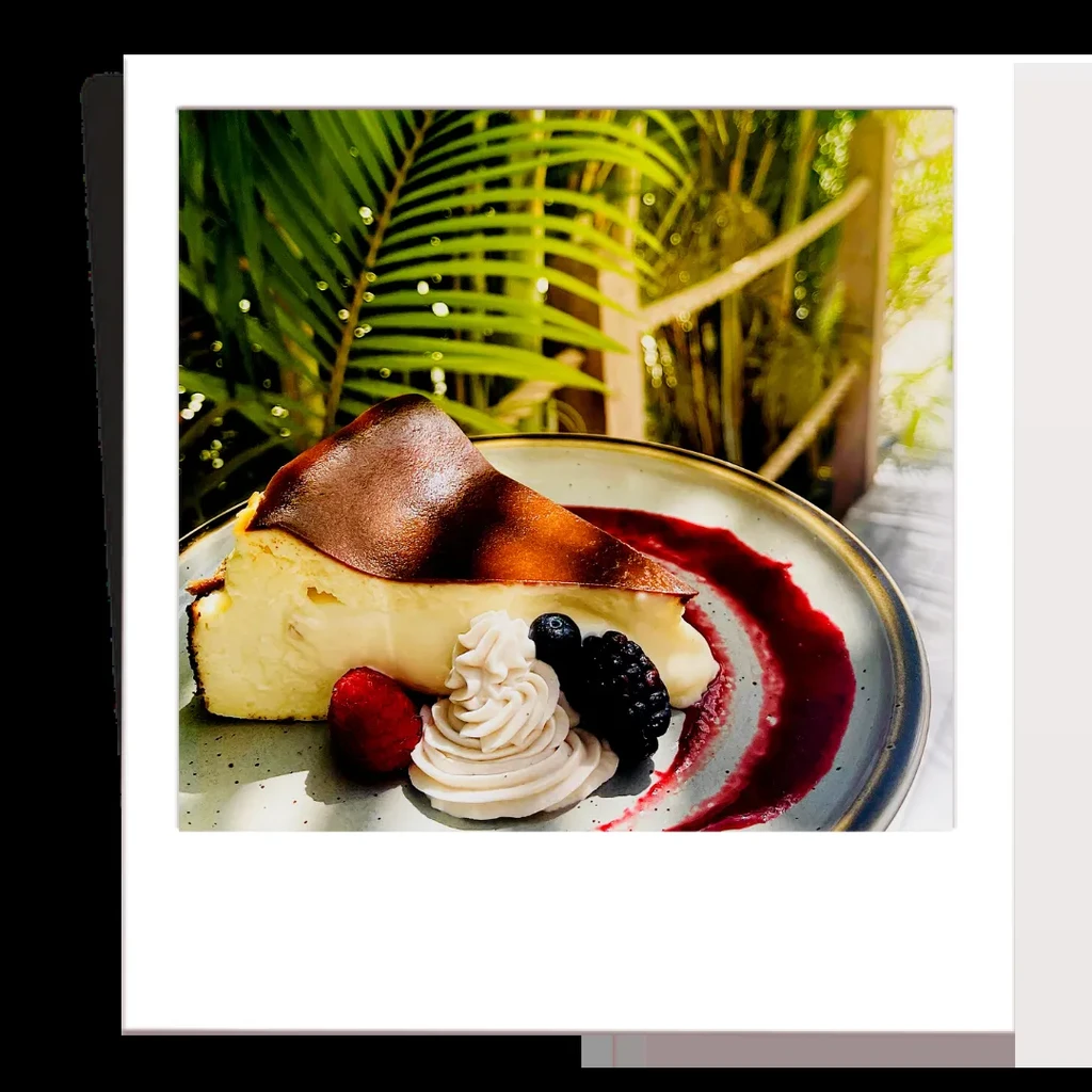 Creamy Basque cheesecake slice with burnt top, berries, whipped cream.