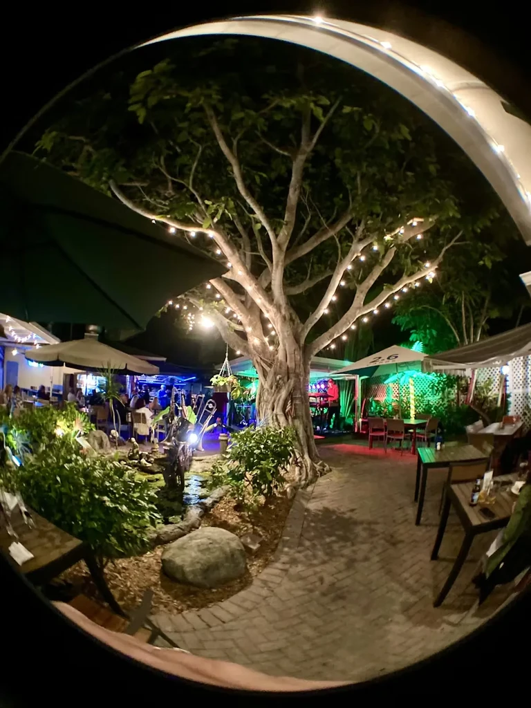 Fisheye night view of outdoor restaurant, lit tree, seating, entertainment.