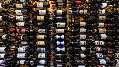 A large wine rack densely packed with numerous dark bottles.