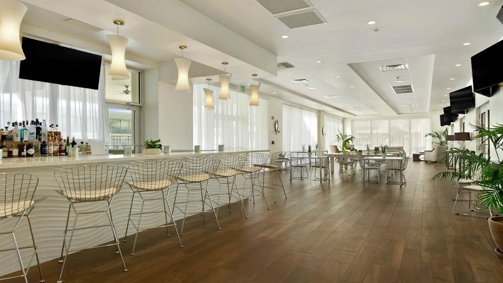 Bright, minimalist restaurant with curved bar, lounge, and natural light.