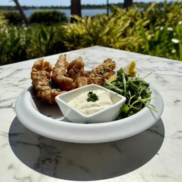 Fried food, salad, sauce, lemon on plate, outdoors by water.
