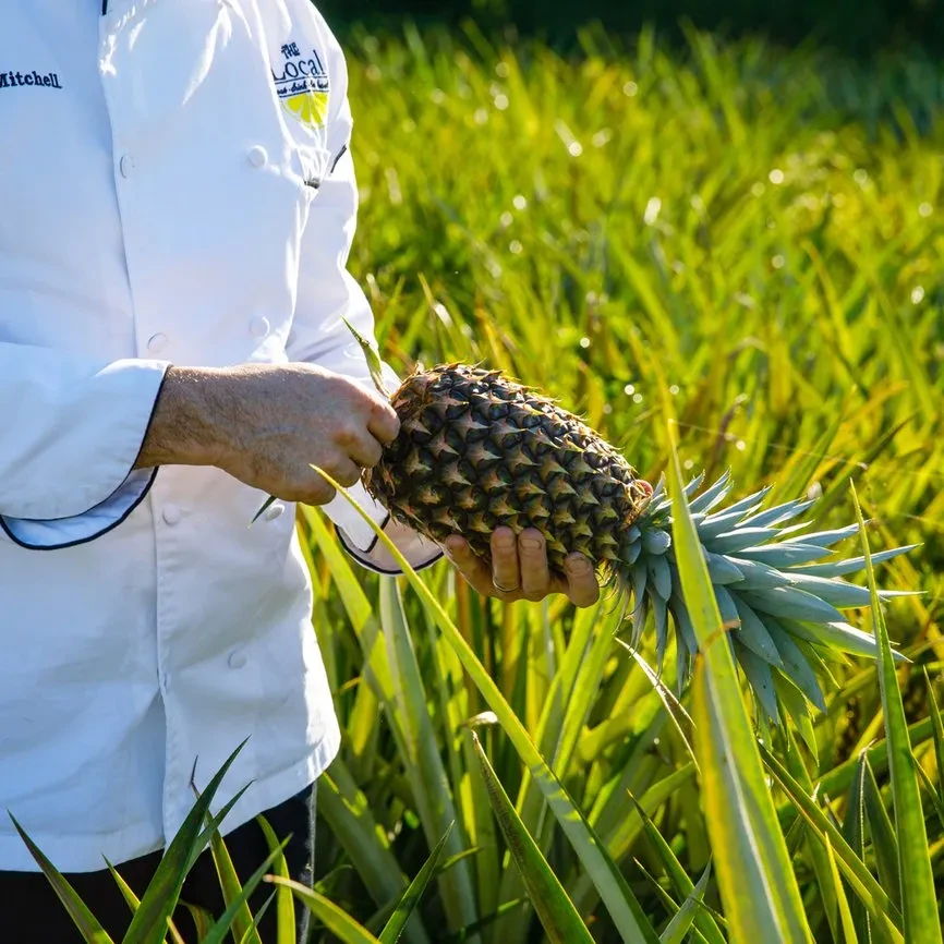 Chef Mitchell from The Local holds a fresh pineapple in a field.