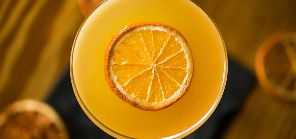 Clear orange cocktail in martini glass with dried orange slice.