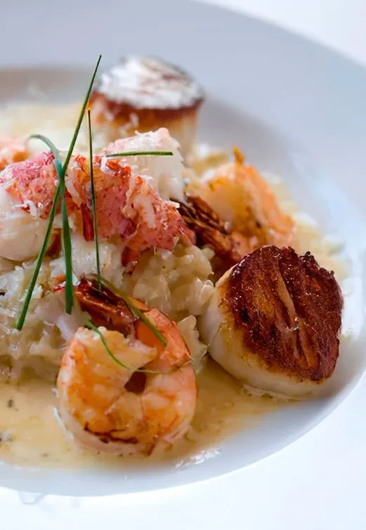 Close-up plated seafood dish with shrimp, seared scallops, lobster, and chives.